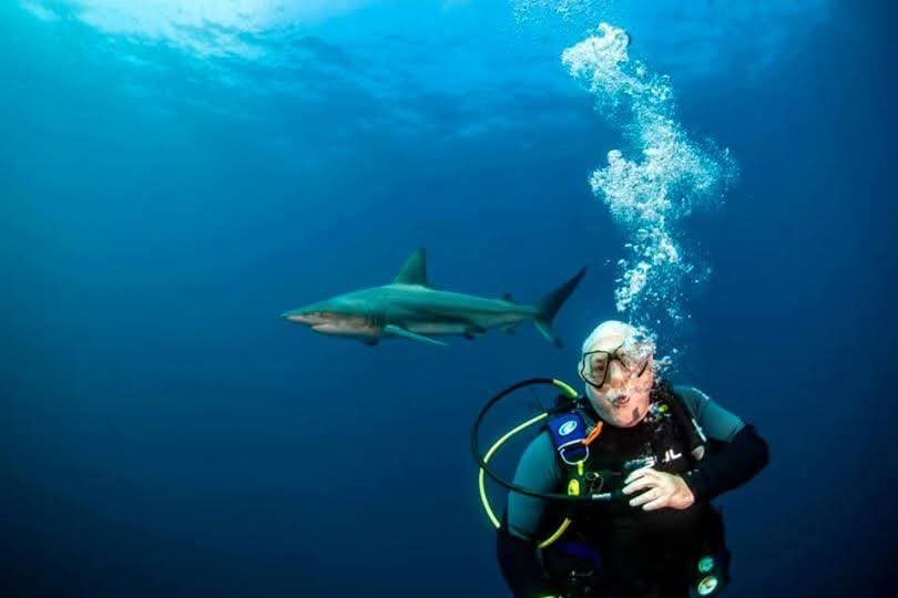 Diver swimming alongside a blacktip shark at Protea Banks