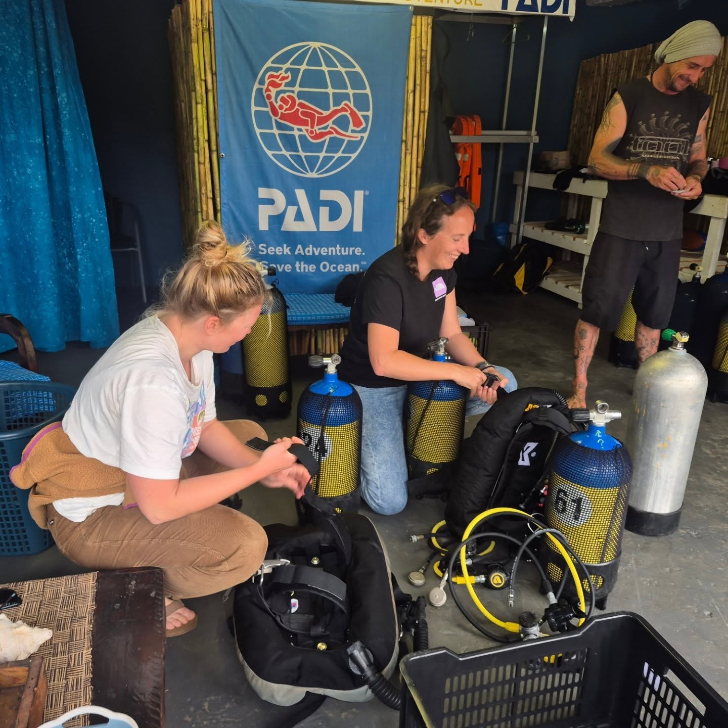 Diver with blacktip shark at Protea Banks